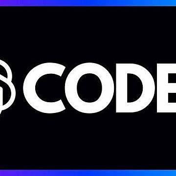 三号AI站Codex 100美金额度